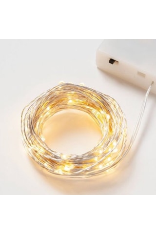 Petrix 50 Led Fairy String Light