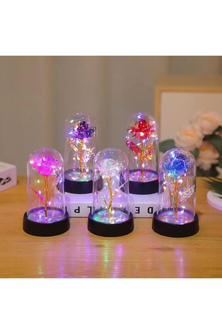 Honmex Kutulu Büyüleyici Gül Cam Kubbe Led Gece Lambası - Sevgi Simgesi Ev Dekorasyonu Hediyelik Ürün Kırmızı