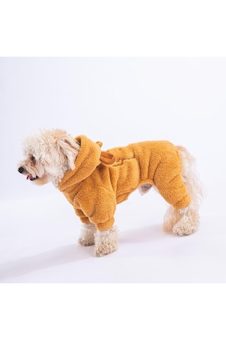 Latte Koala Peluş Küçük Irk Köpek Tulumu L