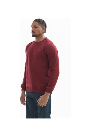 Polar Sweatshirt Bordo