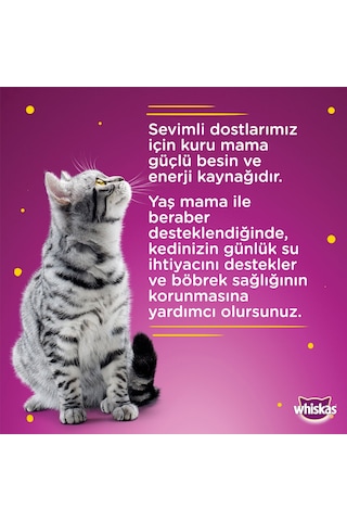 Whiskas Sığır Etli Konserve Yetişkin Kedi Maması 400 G