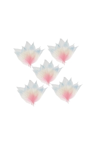 Suntek 50 Parça Doğal Manolya İskelet Yaprak Yaprak