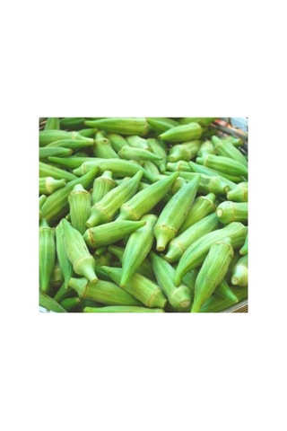 Japon Bamya Tohumu - 10 Gram