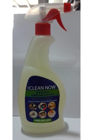 Lion Clean Now Çok Amaçlı Temizlik Maddesi 750 ML