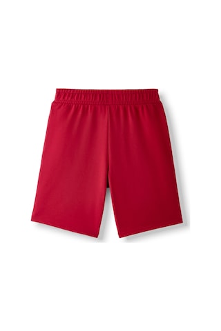 Gsstore Galatasaray Puma Şort 78291124 Kırmızı