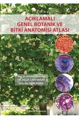 Palme Açıklamalı Genel Botanik Ve Bitki Anatomisi Atlası Palme Açıklamalı Genel Botanik Ve Bitki Anatomisi Atlası