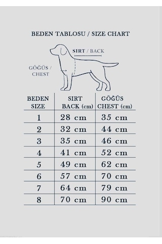 Alphadog Awesome Orta-büyük Irk Köpek T-shirtü