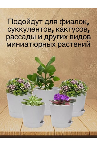 Interm Menekşeler, Sukulentler Ve Kaktüsler İçin Küçük Çiçek Saksısı 211028815