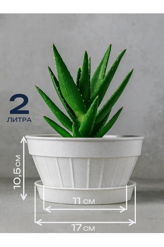 Angora Çiçekler İçin Plastik Saksılar Seti 5 Parça 231204799