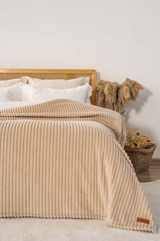 Cappuccino Gloria Wellsoft Çift Kişilik Battaniye Sütlü Kahve