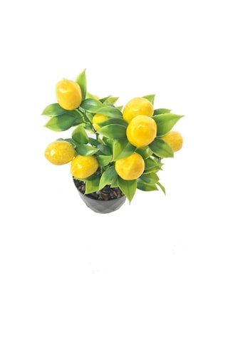 Yapay Çiçek Limon Ağacı Siyah Saksıda Ve Dekoratif