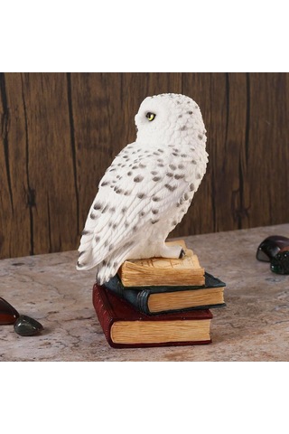 Kitap Üzerinde Beyaz Kar Baykuşu Hedwig Biblosu - Harry Potter