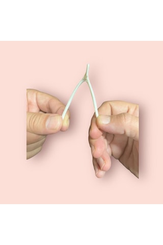 Nostaljik Lades Oyuncağı Plastik Lades Kemiği