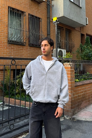 Flaw Nakışlı Zip Hoodie Gri Melanj Gri Melanj