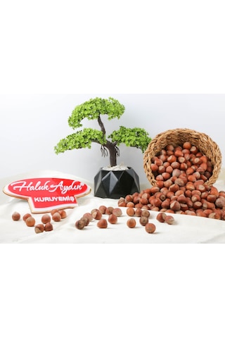 Haluk Aydın Kuruyemiş Kabuklu Tuzsuz Fındık 1 KG
