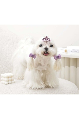 M-pets Glam Taç Ve Fiyonklu Kedi Ve Köpekler İçin Aksesuar Toka Mor Mavi