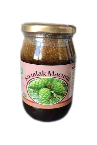 Nursima Çam Kozalak Macunu 420 G