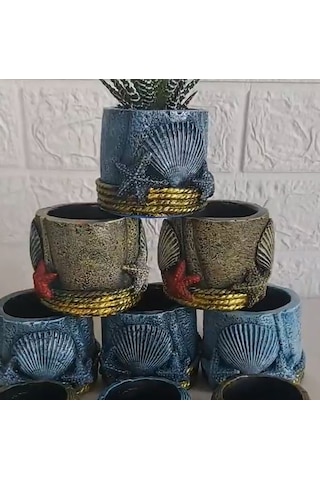 Deniz Kabuklu Saksı