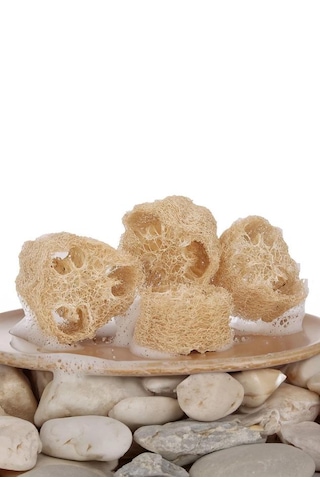 Şık Kalıp Doğal Kabak Lifi