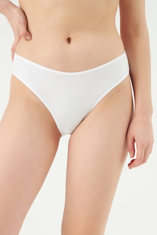 Eros 720 Klasik Bel Kadın Slip Külot 3 Lü Paket 3 Renk Çok Renkli