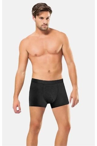 12'li Paket Erkek Bambu Boxer Anıt 001