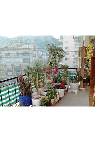 Morilu Balkon Gölgeliği - 55'lik Yeşil File - Şeritli Halkalı - Otopark Gölgelik - Araba Gölgeliği