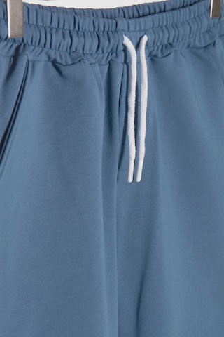 Terapi Men Erkek Basic Pastel Mavi Regular Fit Şort & Bermuda Pastel Mavi