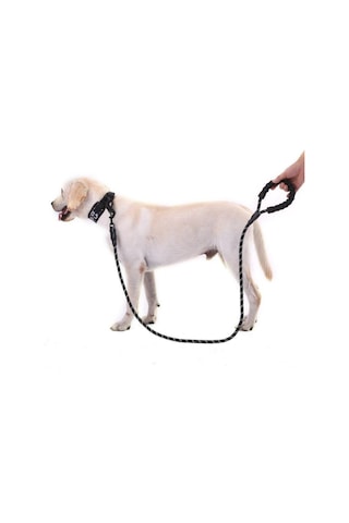 Reflektörlü Köpek Tasması 130 Cm. Diğer