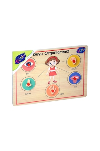 166/167 Onyıl. Ahşap Tutmalı Organlar.