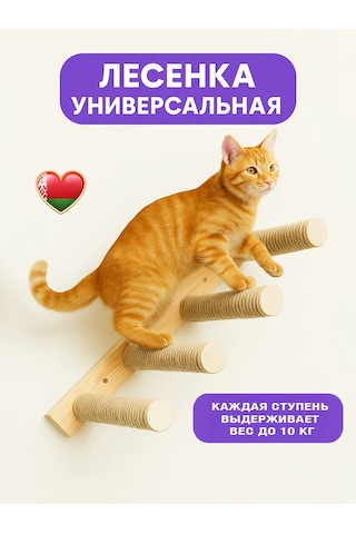 Go Cats Kedi Tırmanma Merdiveni Tırnak Törpüleme 388142182