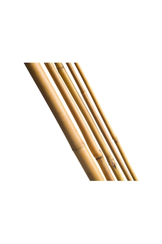 Bambu Sopası 210 cm 19-20mm Bambu Çubuğu 5 ADET