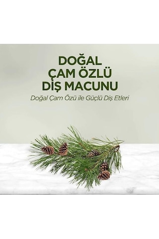 Eyüp Sabri Tuncer Doğal Çam Özlü Diş Macunu 90 ML