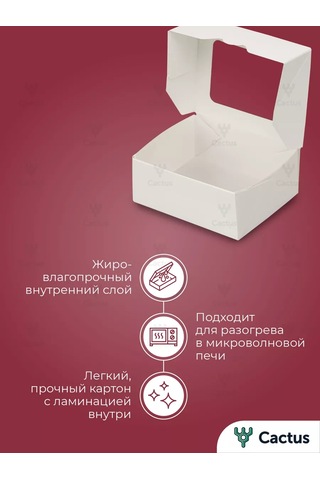 Cactus Kendin Yap Hediye Kutusu, Kağıt Dolgu Malzemesi İle 209739738