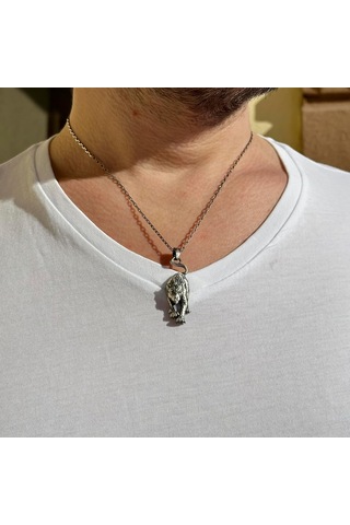 Kaplan Kolye, Panter Kolye Ucu, 925 Ayar Katı Gümüş Zincir Kolye Erkekler İçin Gümüş