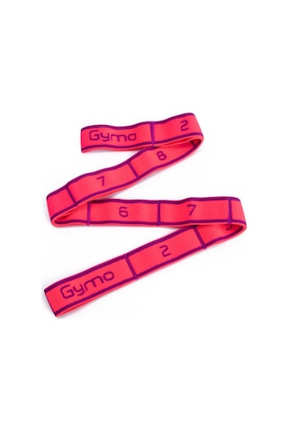 Gymo Pro Series Numaralı Junior Direnç Bandı Çok Renkli