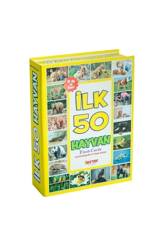 1352flashcardsilk50hayvan-dıytoy