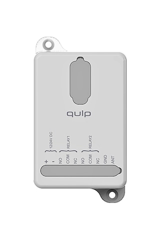 Qulp R1 1 Kanallı Değişken Kodlu Alıcı