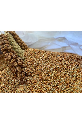 Dal Darıdan Elenmiş Kızıl Darı 500 G