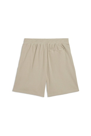 Puma Wardrobe Ess Shorts Erkek Günlük Şort 63436761 Gri