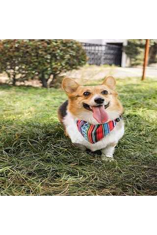 M-pets Urban Style Jazz Bandana Boyun Tasması Small 15-33 Cm 244-58035.02