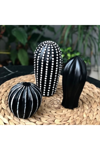 Thiramis Siyah Beyaz Detay Dekoratif 3'lü Kaktüs