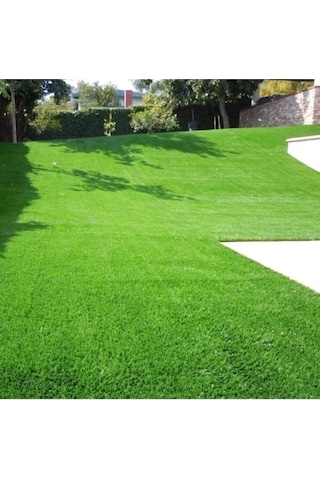 Dört Mevsim Ekilen 6 Karışımlı Çim Tohumu 1 Kğ