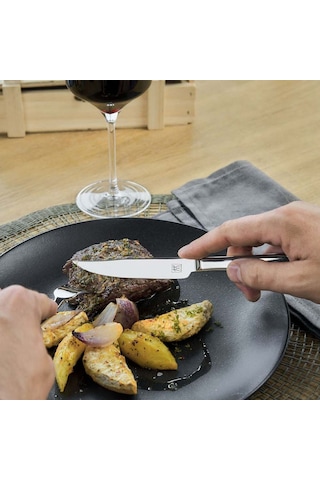 Zwilling Biftek Bıçak Seti 12 Parça 391.40.0087 Zwilling Çok Renkli