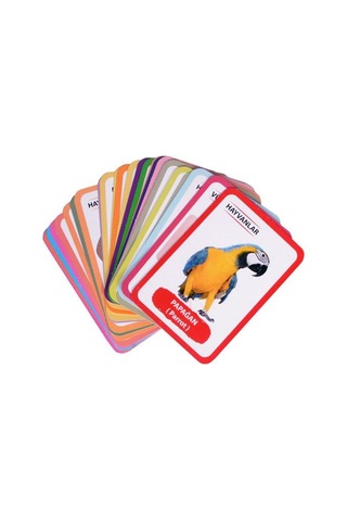 Bebeğimin İlk 100 Kelime + 12 Ay Kartları Moli Toys