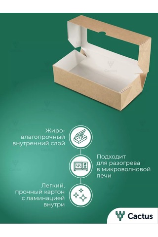 Cactus Pencereli Kraf Kutu Tek Kullanımlık Kapaklı Kutular 138246368 100 adet