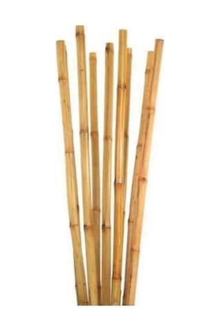Bambu Bitki Destek Çubuğu 150 Cm 50 Adet