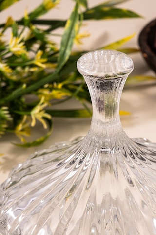 Çarşıdayız Brasilia Cam Kapaklı Şekerlik - Şık Ve Modern Tasarımlı Şeker Saklama Kabı Şeffaf