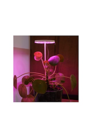 Bitki Led Lamba 5v Usb Fullspectrum Bitki Yetiştirme - Bitki Geliştirme Lambası Halka 8w
