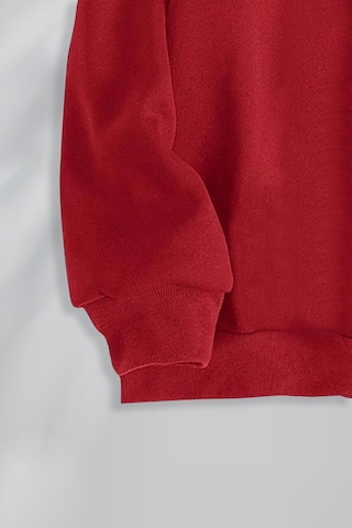 Macklin Unisex Kadın Erkek Ny Baskılı Yarım Fermuarlı Dik Yaka Basic Sweatshirt Kırmızı Mck0975 Kırmızı