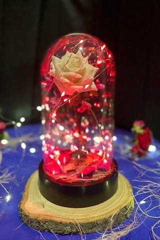 Anneler Gününe Özel Beyaz Gül Kırmızı Fanus Lamba Usb'li Yapay Çiçek Dekoratif Aydınlatma Hediyelik